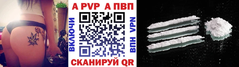 Альфа ПВП СК  Обь 