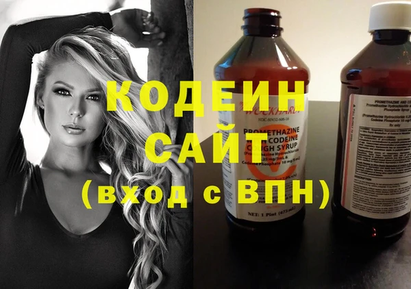 индика Лиски