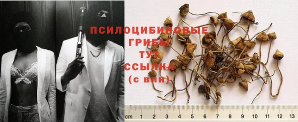 индика Лиски