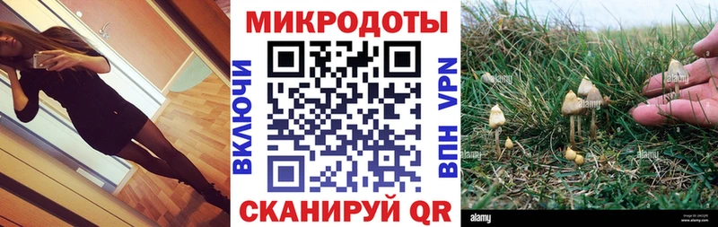 сайты даркнета наркотические препараты  дарнет шоп  Обь  Псилоцибиновые грибы Magic Shrooms  кракен зеркало 