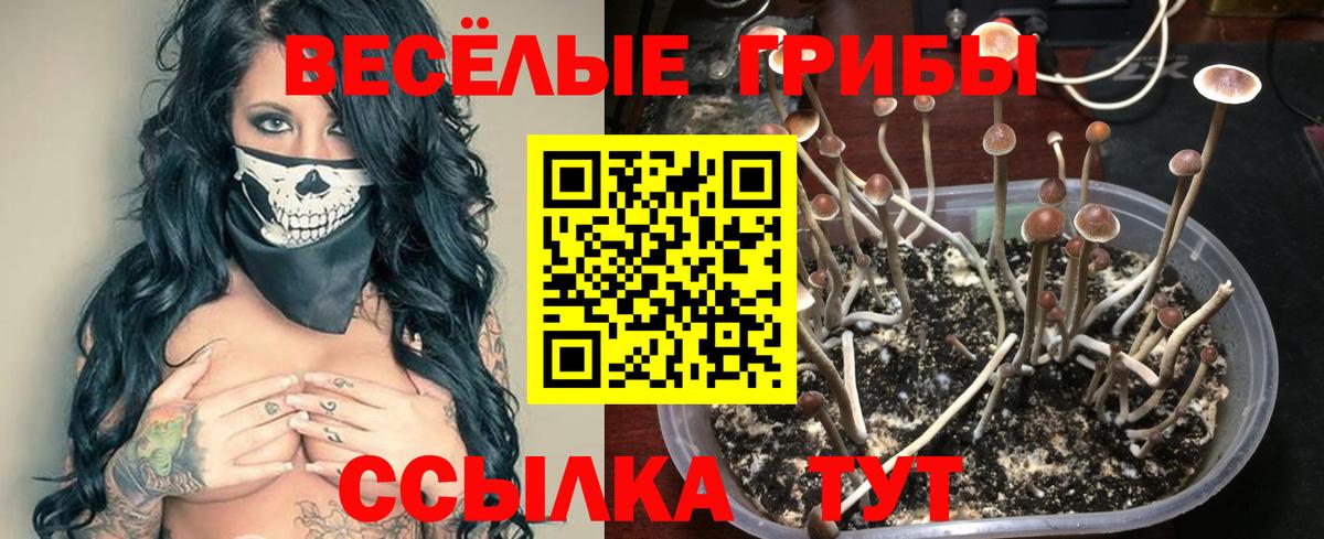 КЕТАМИН Обь